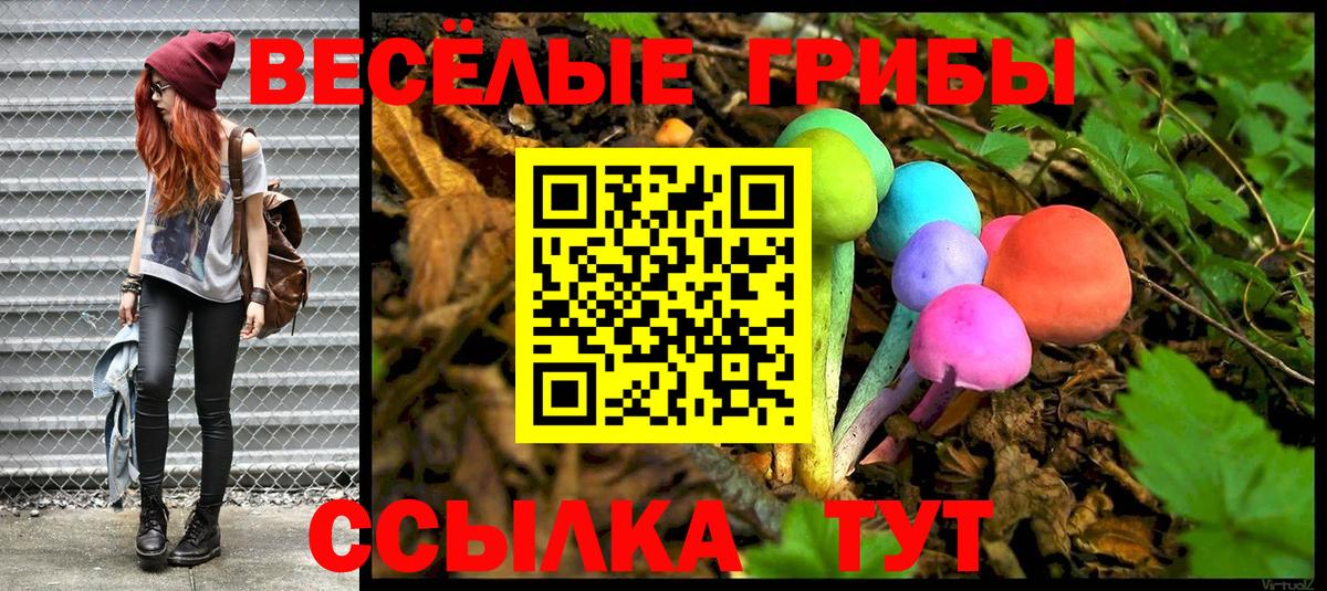 Галлюциногенные грибы прущие грибы Усинск